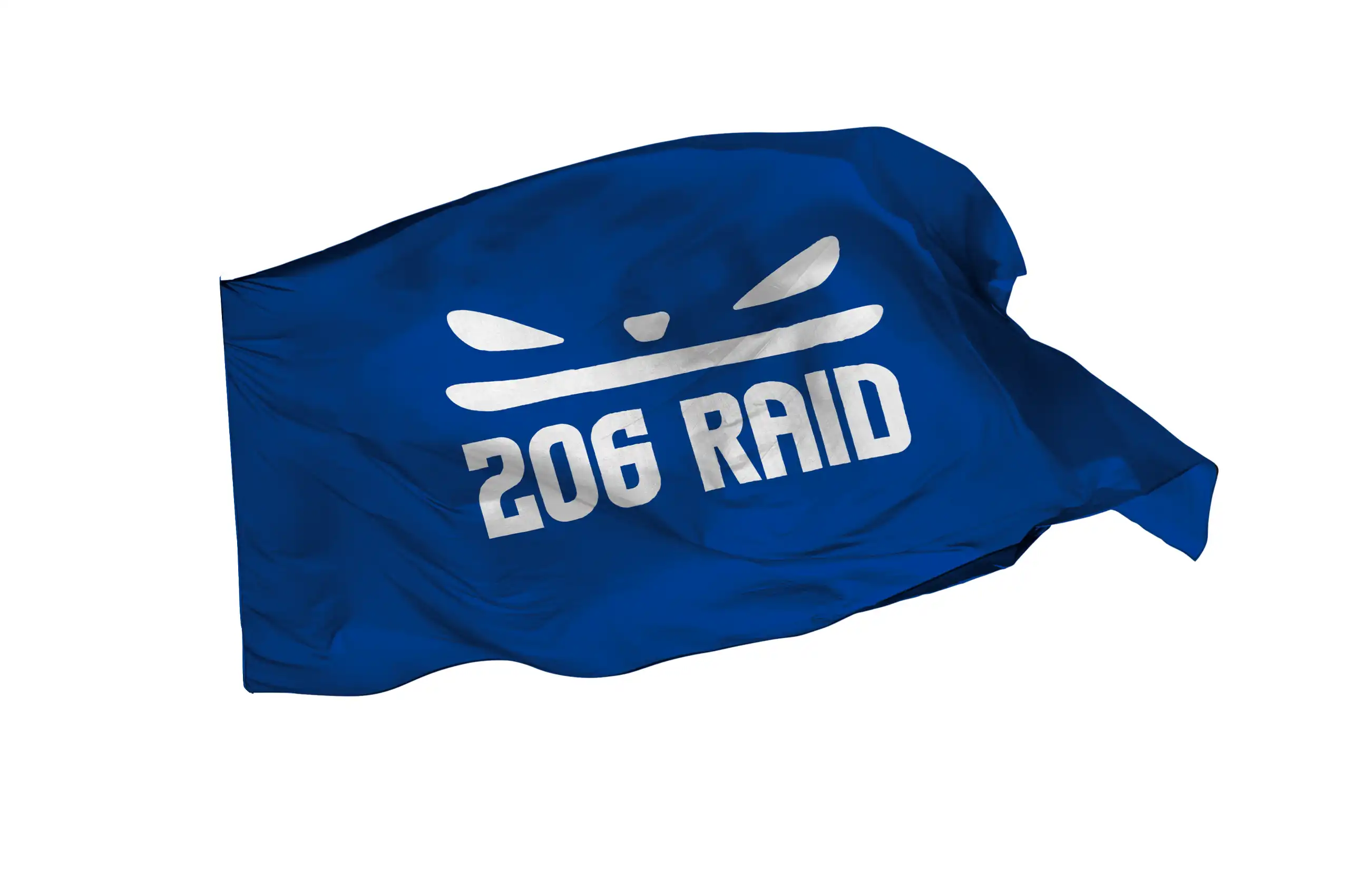 Drapeau 206 Raid