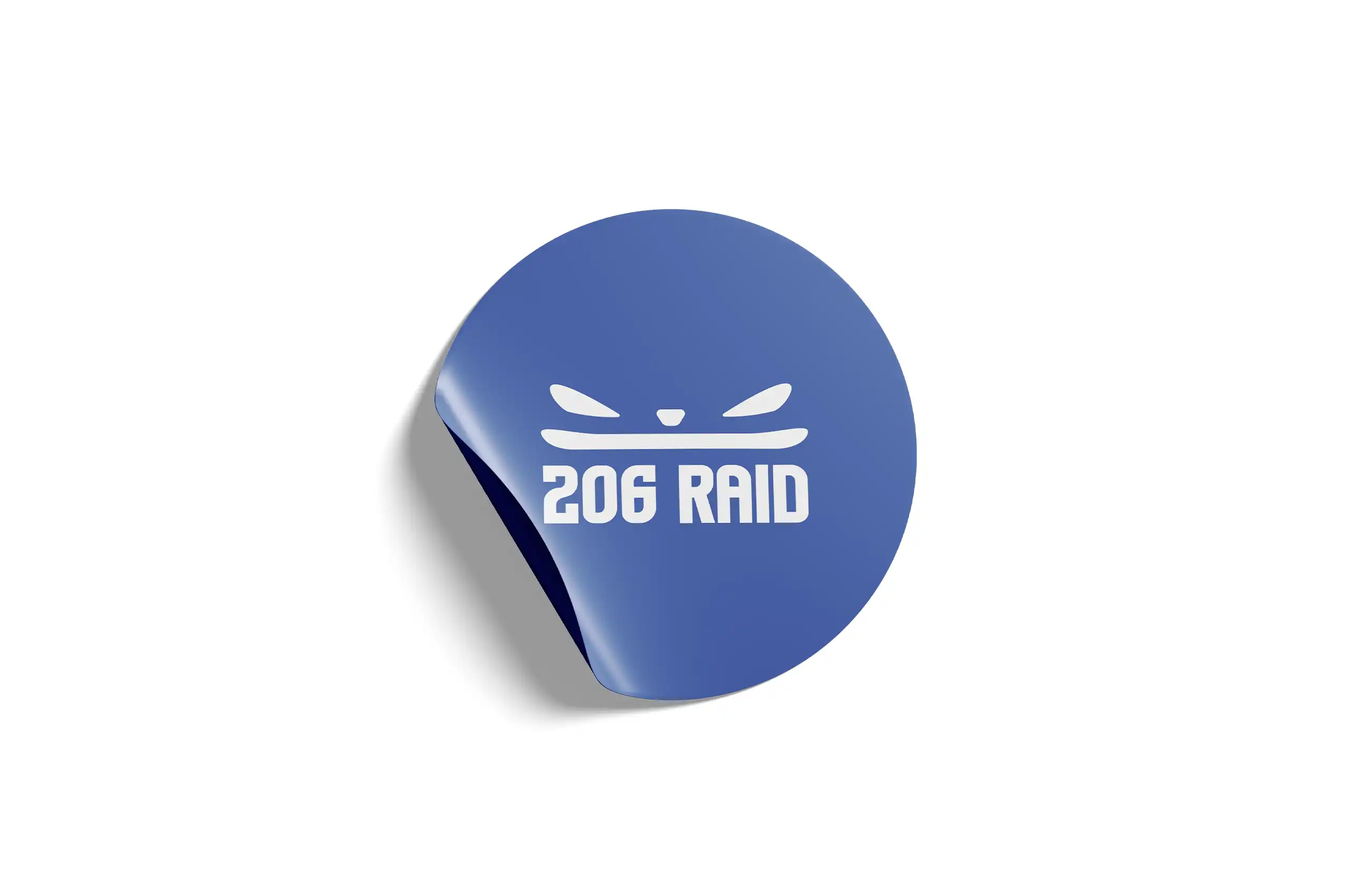 Autocollant 206 Raid